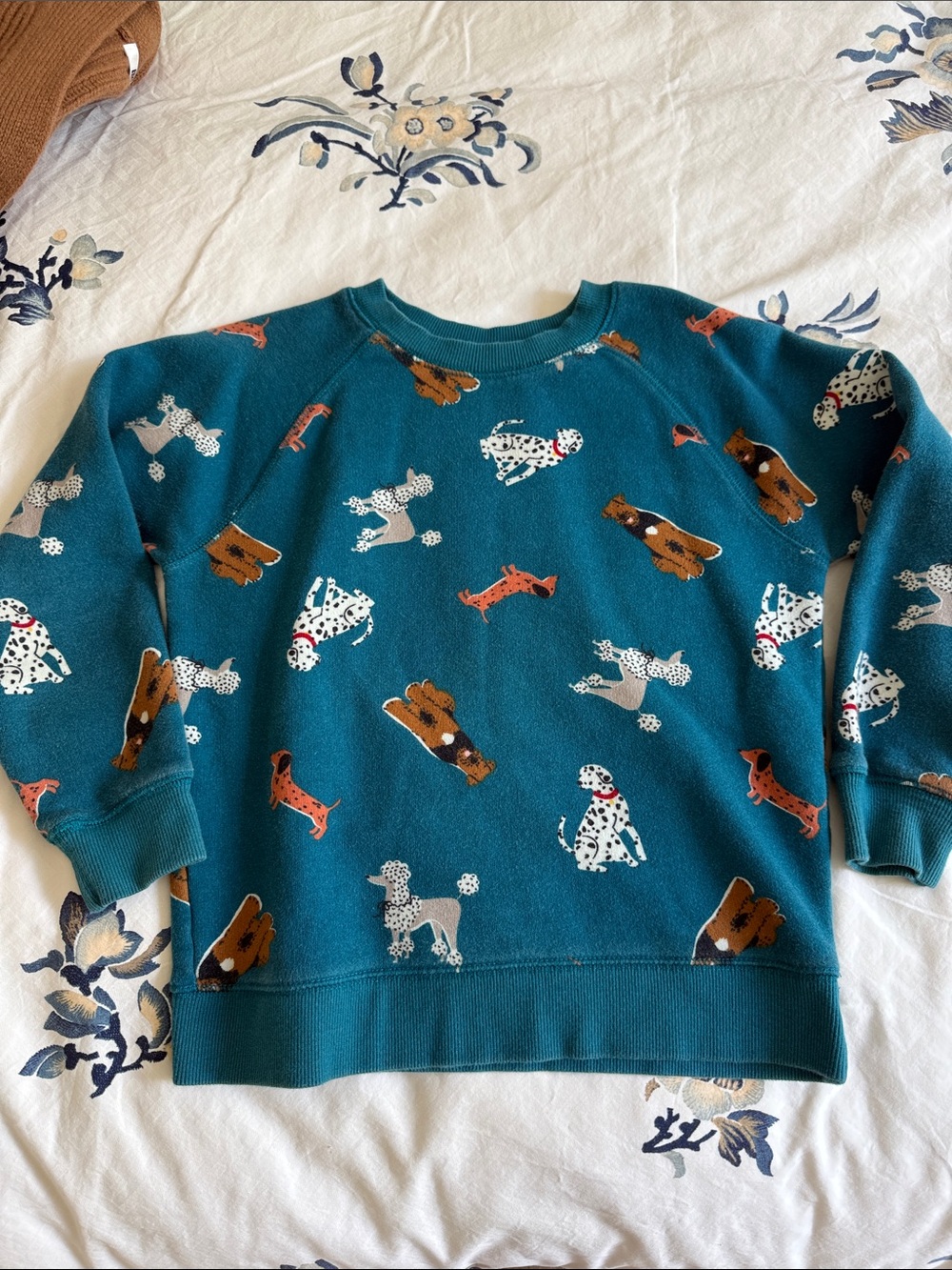 Hanna Andersson dog print fleece sweatshirt